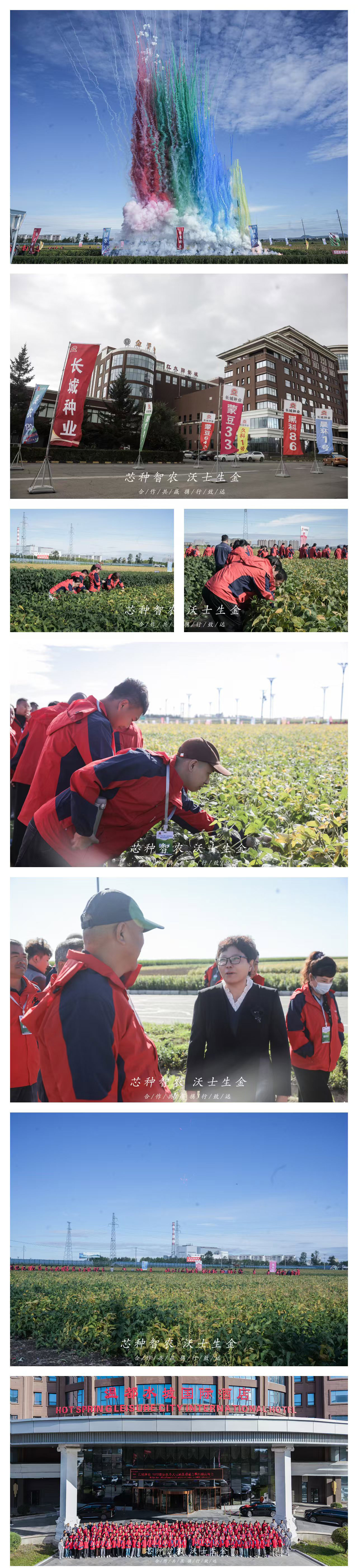 邀請中儲糧北方公司領(lǐng)導(dǎo)及農(nóng)業(yè)伙伴田間觀摩.jpg