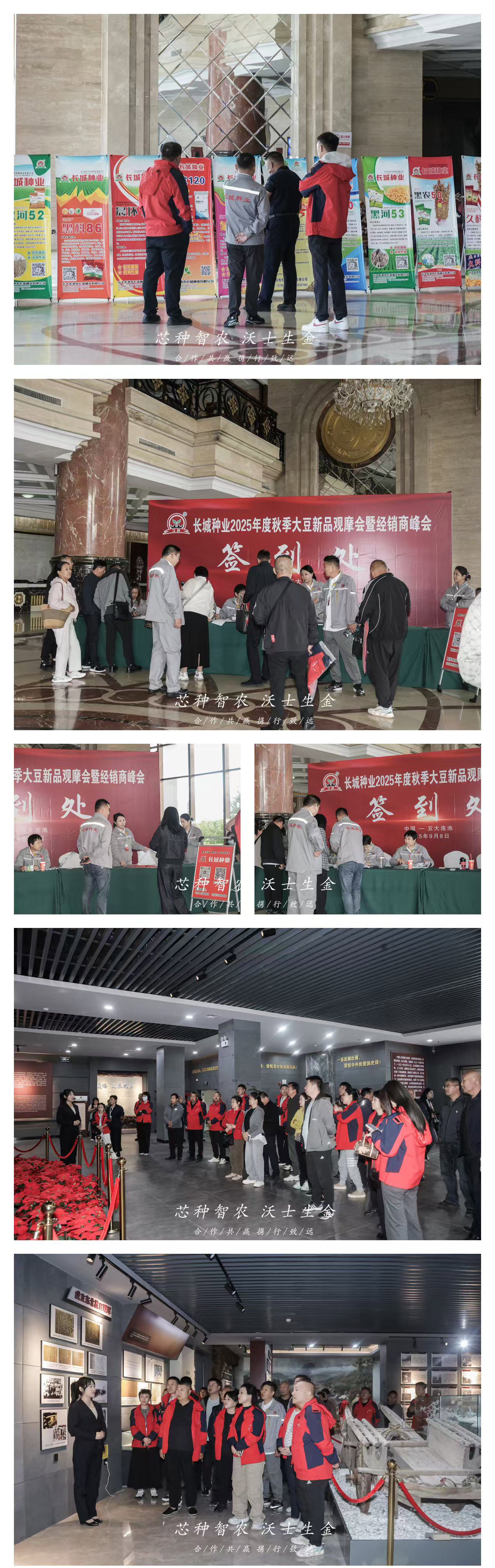 2025年度秋季大豆新品觀摩會(huì)暨經(jīng)銷(xiāo)商峰會(huì)簽到現(xiàn)場(chǎng).jpg