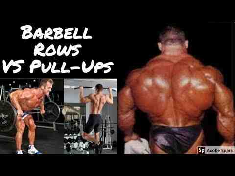 Are rows better than pull ups?