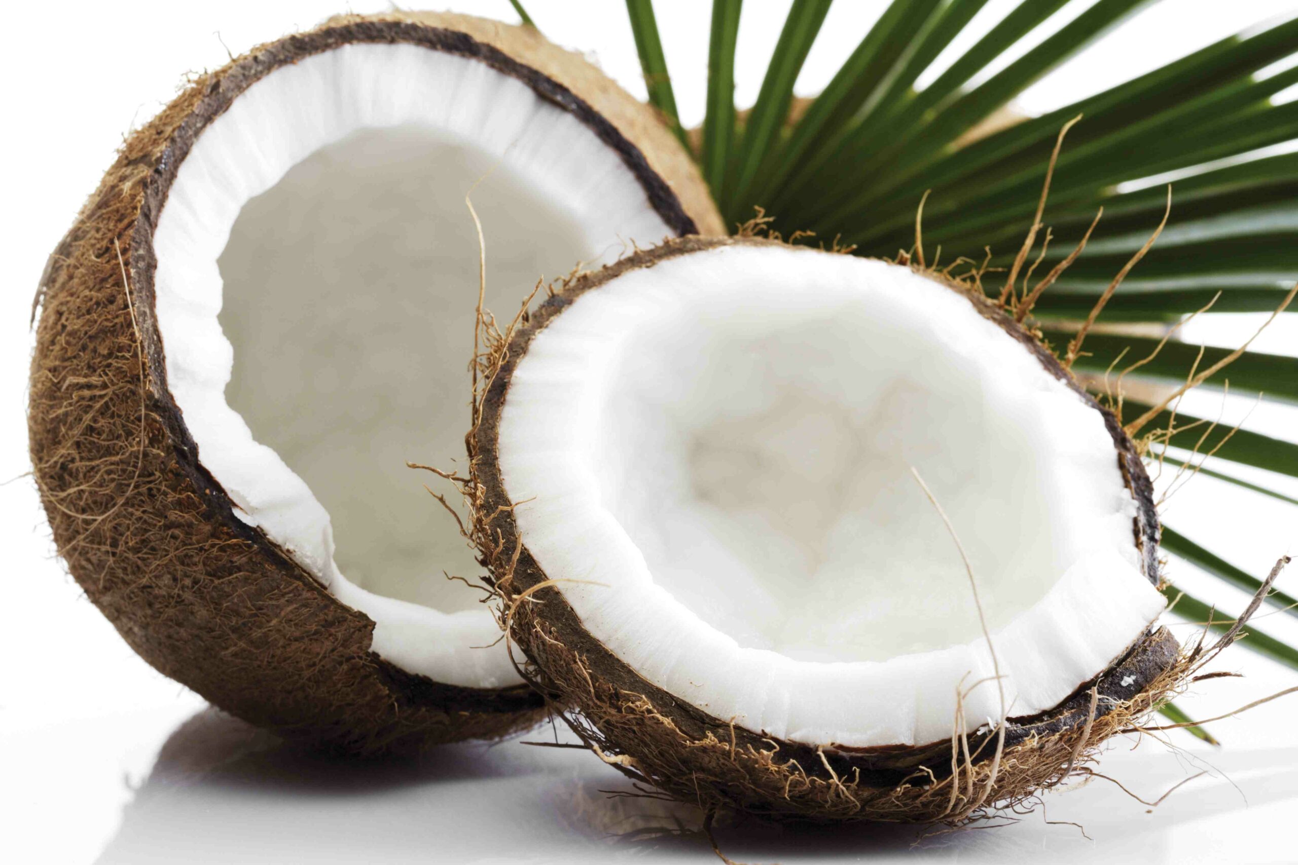Can eating raw coconut make you sick?