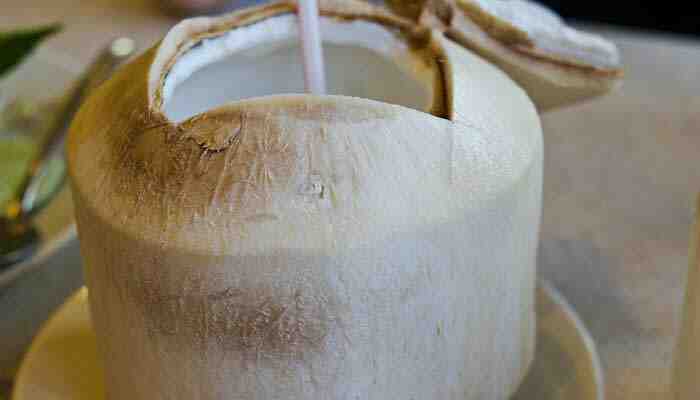 Can you eat a drinking coconut?
