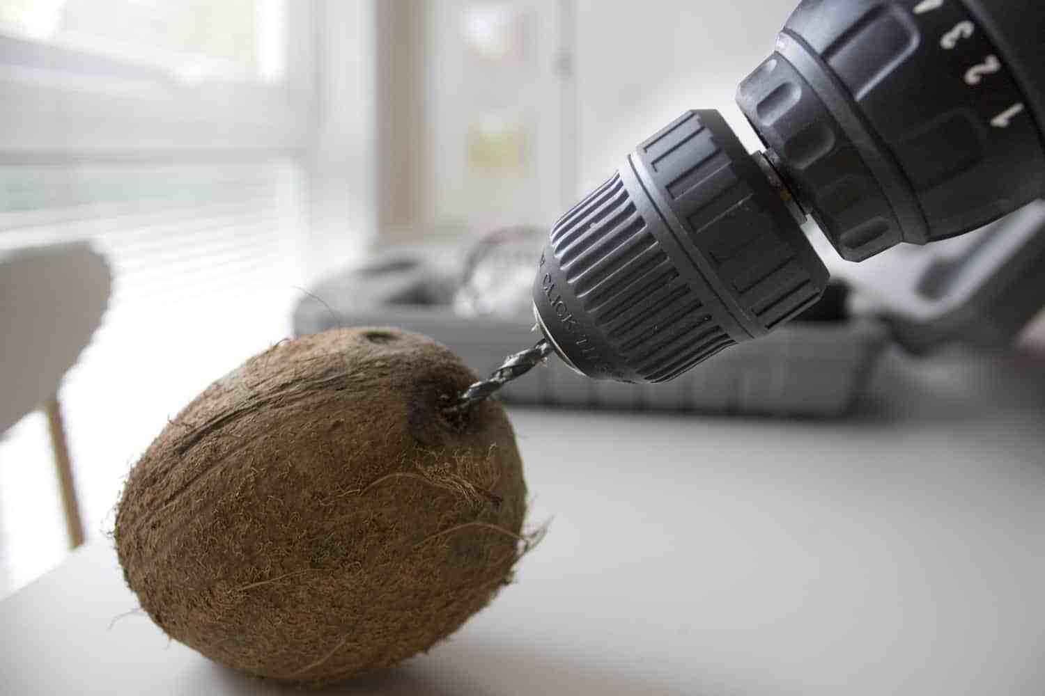 Can you open a coconut with a drill?