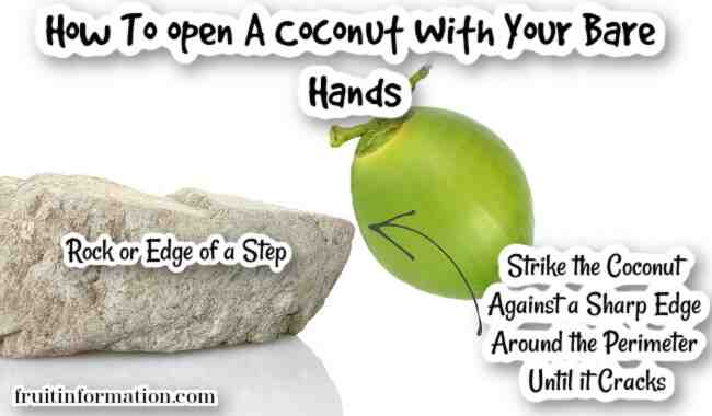 Can you open a coconut with your bare hands?