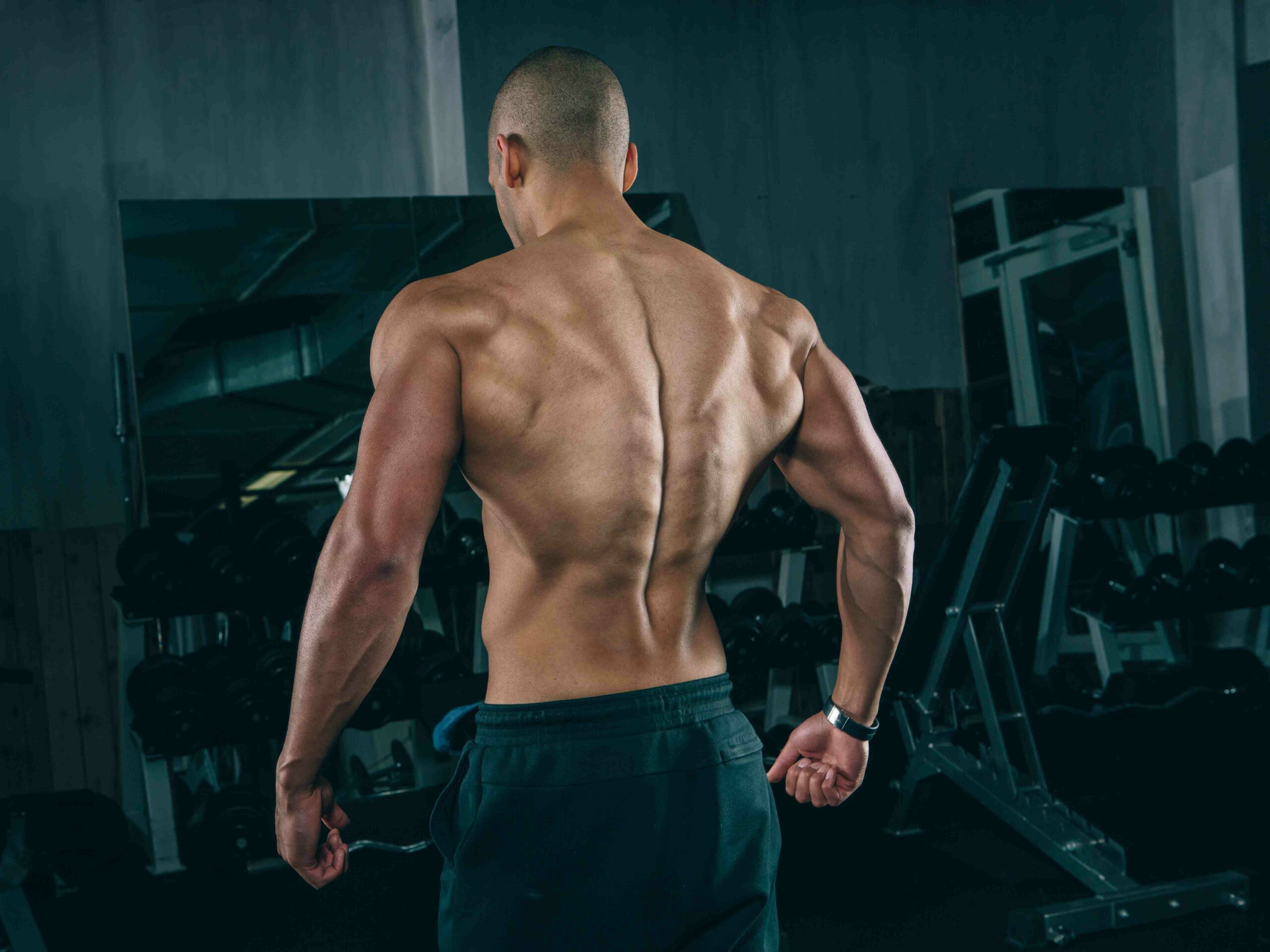 Do pull ups make your back thicker?
