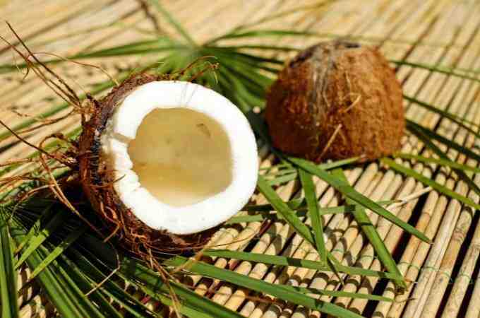 Does coconut help you poop?