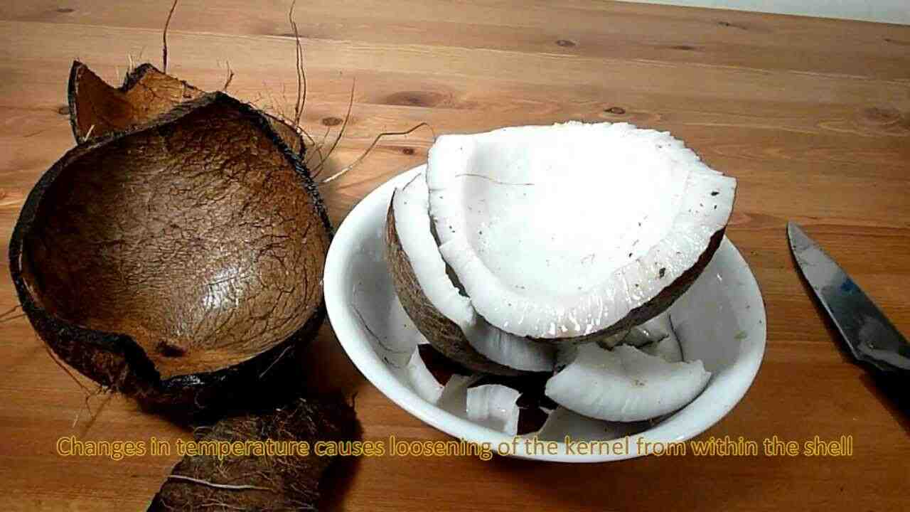 How do you get the nut out of a coconut?