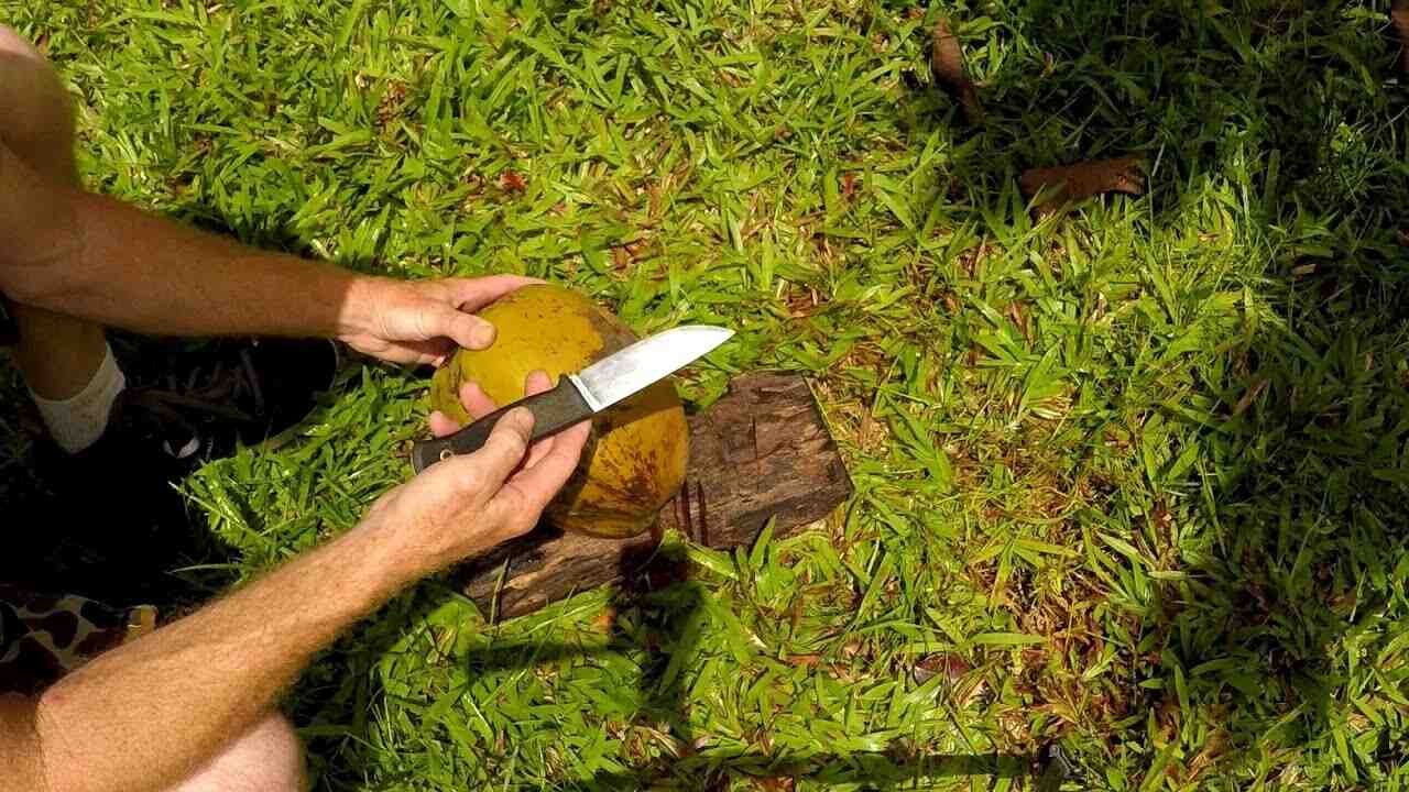 How do you husk a coconut with a knife?