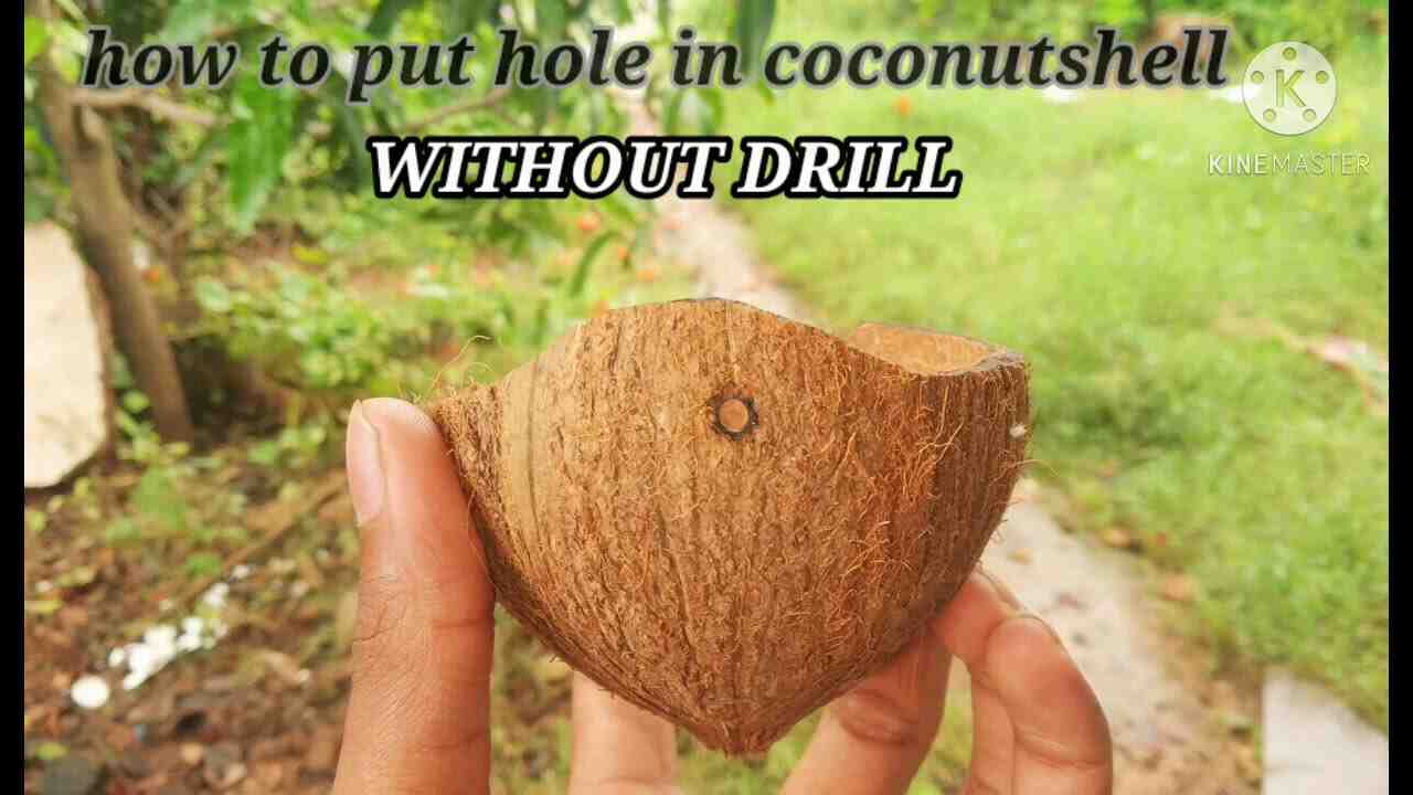 How do you make a hole in a coconut?