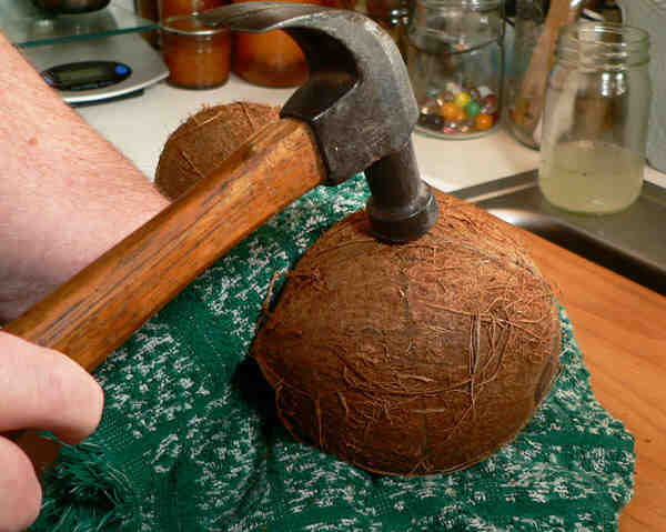 How do you open a coconut with a hammer?