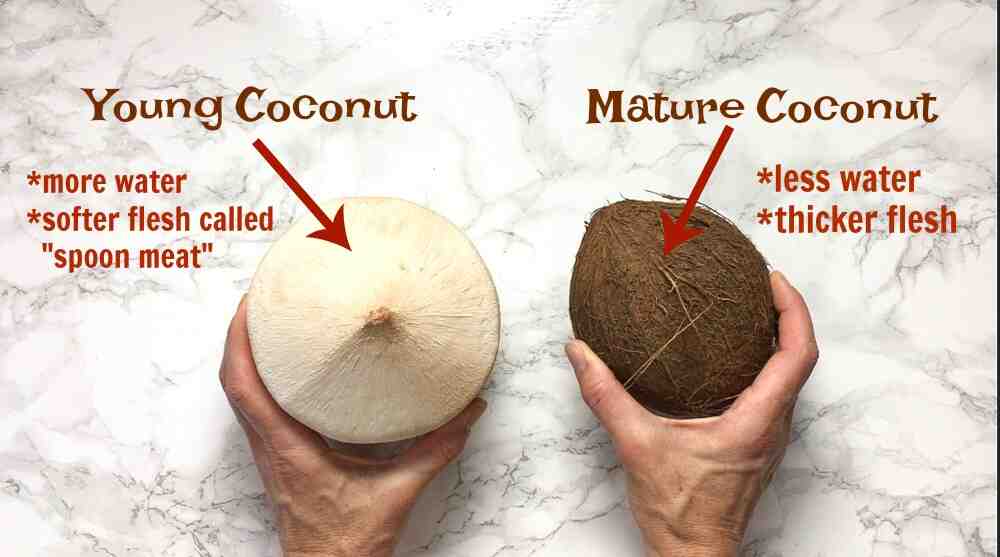 How do you open a fresh coconut?