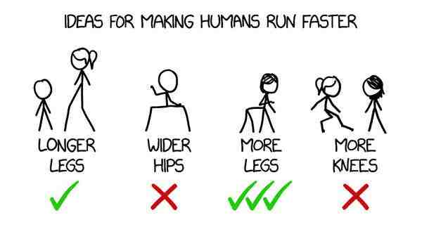 How fast is a human?