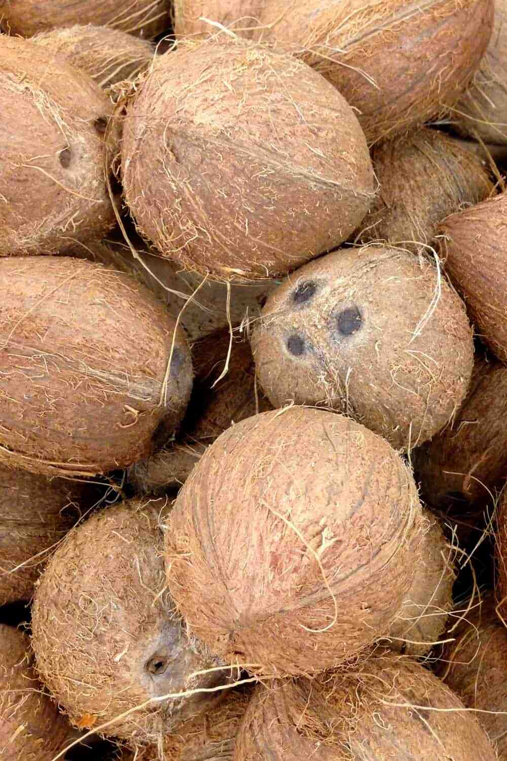 How long does raw coconut last?