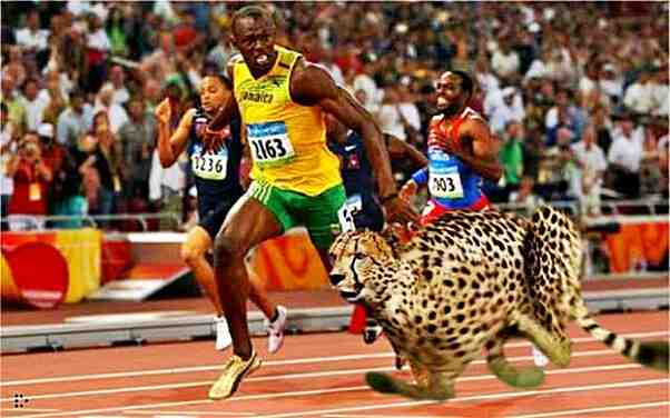 Is Usain Bolt faster than a cheetah?