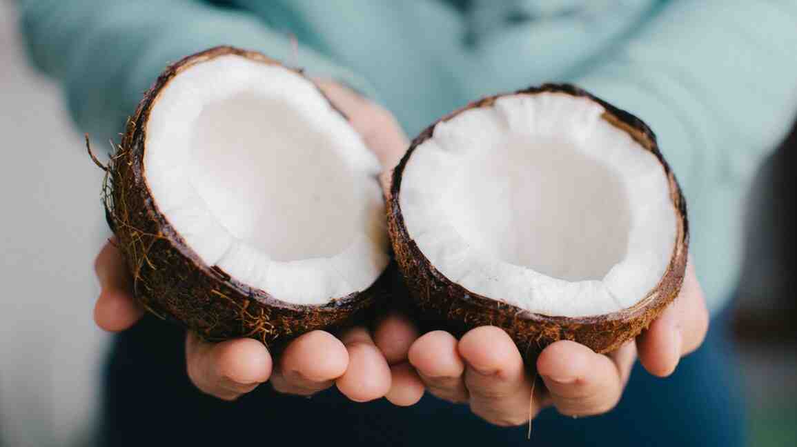 Is a coconut a berry?