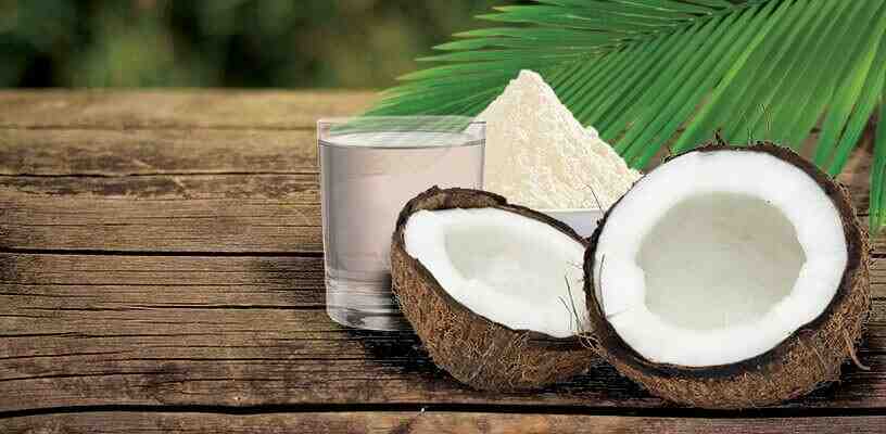 Is coconut A Superfood?