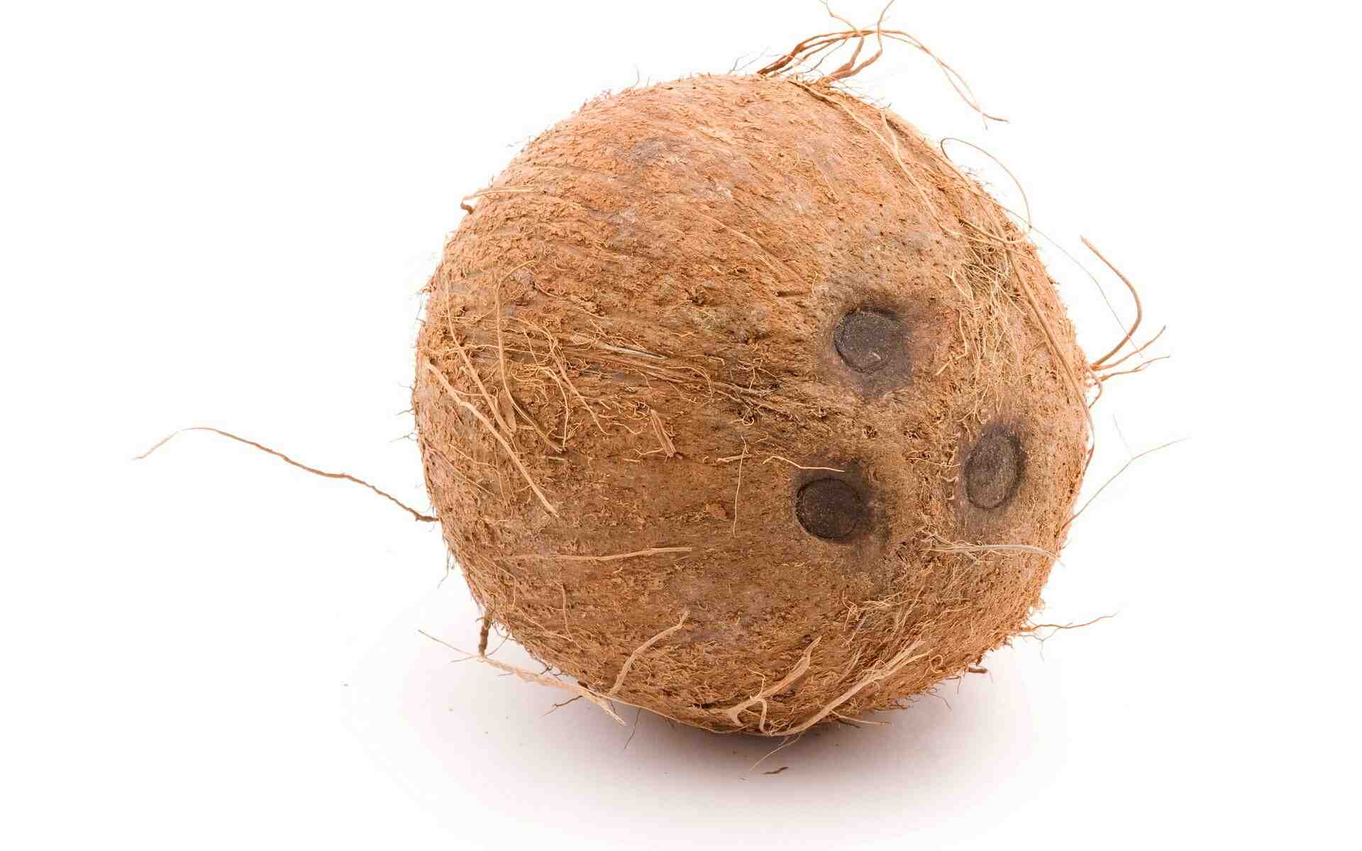 What are the three holes in a coconut called?