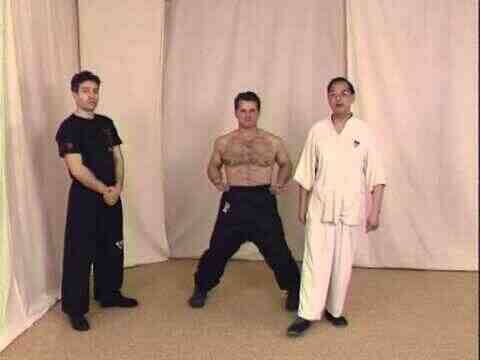 What is Wing Tsun Kung Fu ?