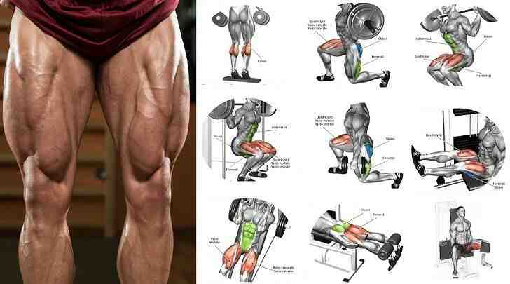 What is the best exercise to build thigh muscles?