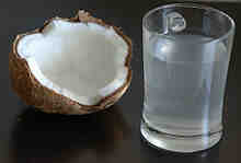 What is the liquid inside a coconut called?
