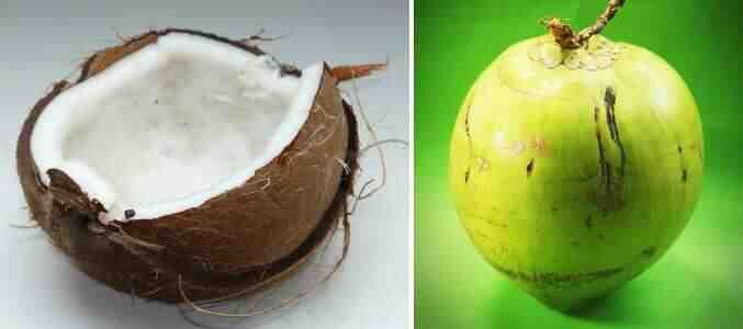 What's the difference between brown and white coconut?
