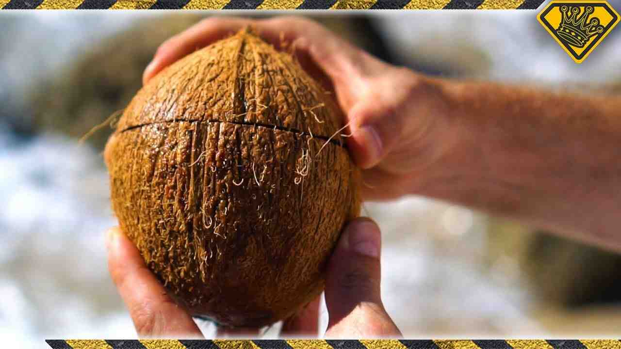 Where do you hit a coconut?