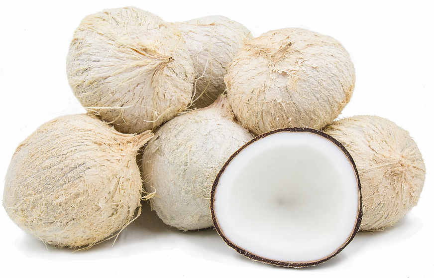 Why are some coconuts white?