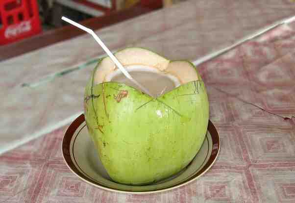 Why do coconuts have water in them?