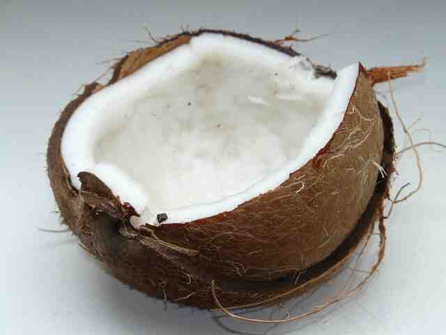 Why is the inside of a coconut called meat?
