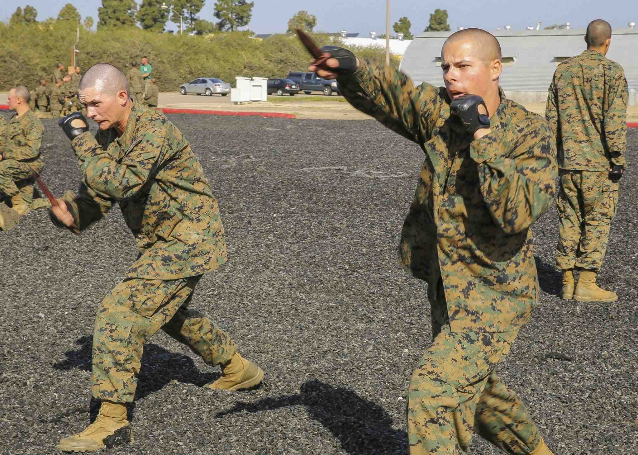 Do Marines use kung fu?