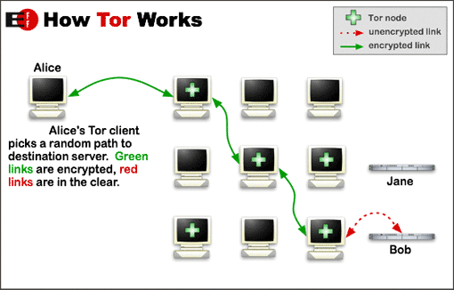 Does Tor hide your IP?