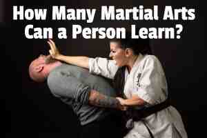 How many martial arts can you learn?