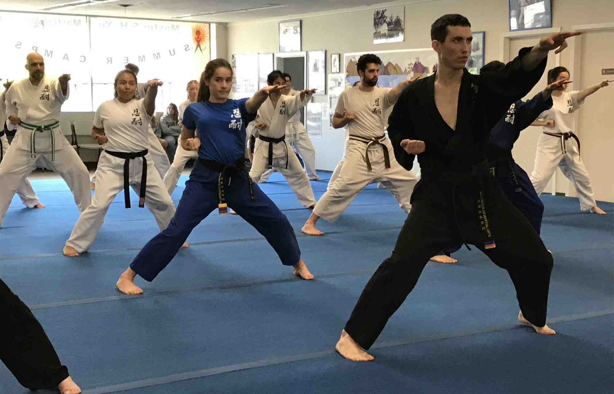 How should a beginner learn martial arts?