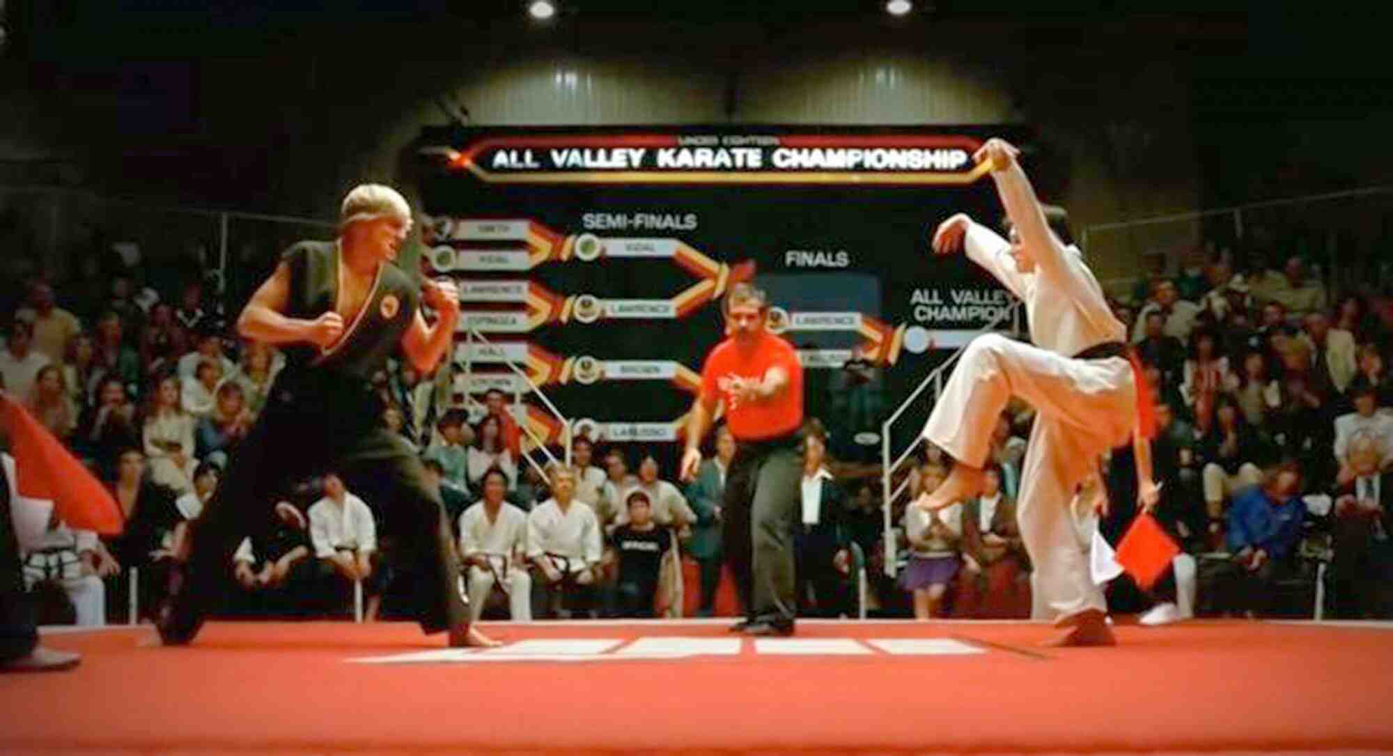 Is The Karate Kid crane kick real?