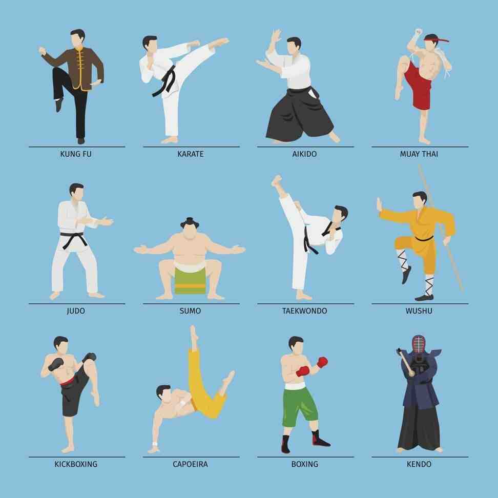 What are the 11 types of martial arts?