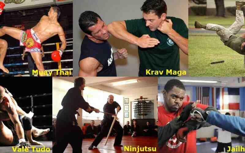 What are the 9 kinds of martial arts?