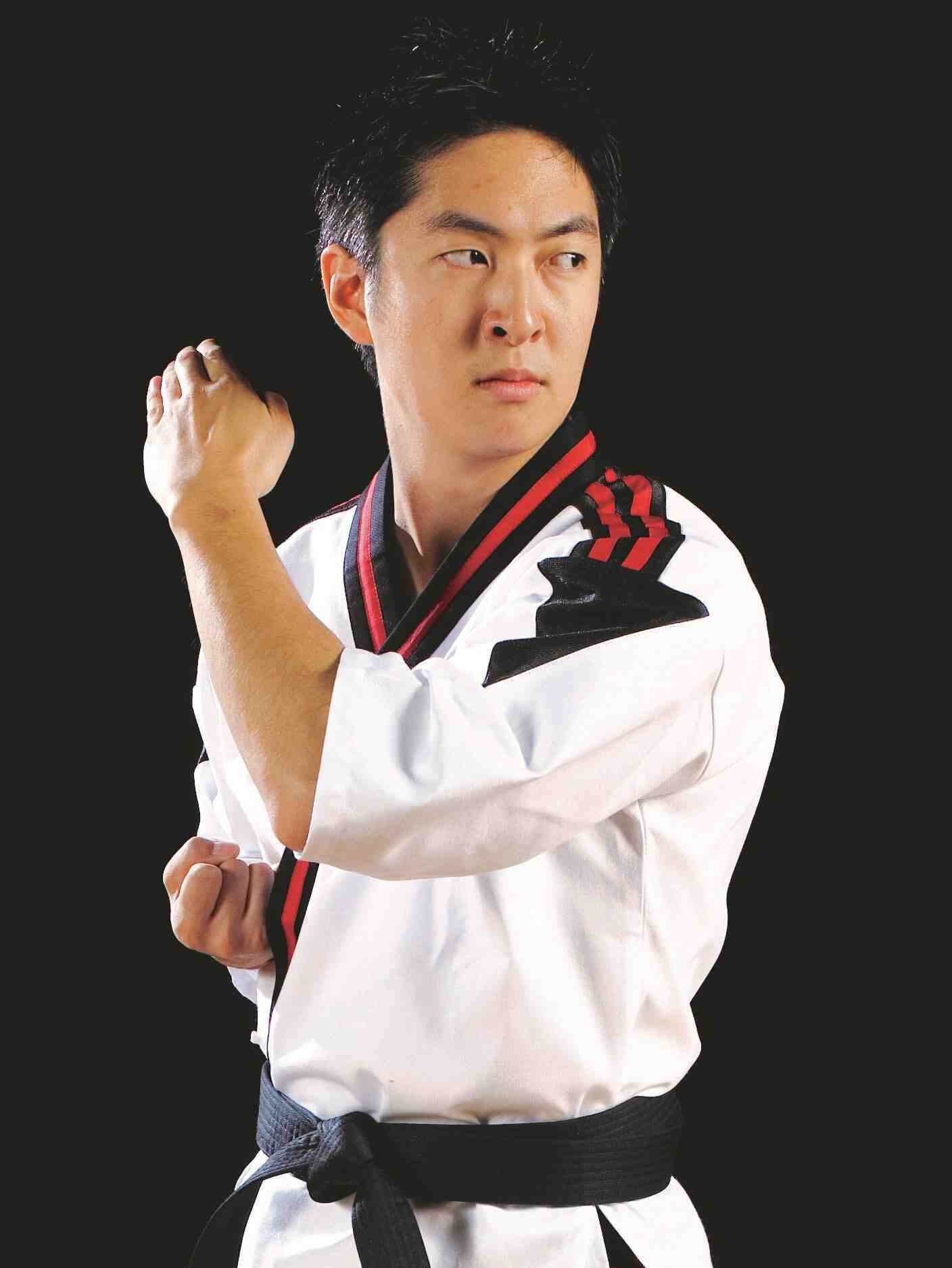 What are the four main martial arts?