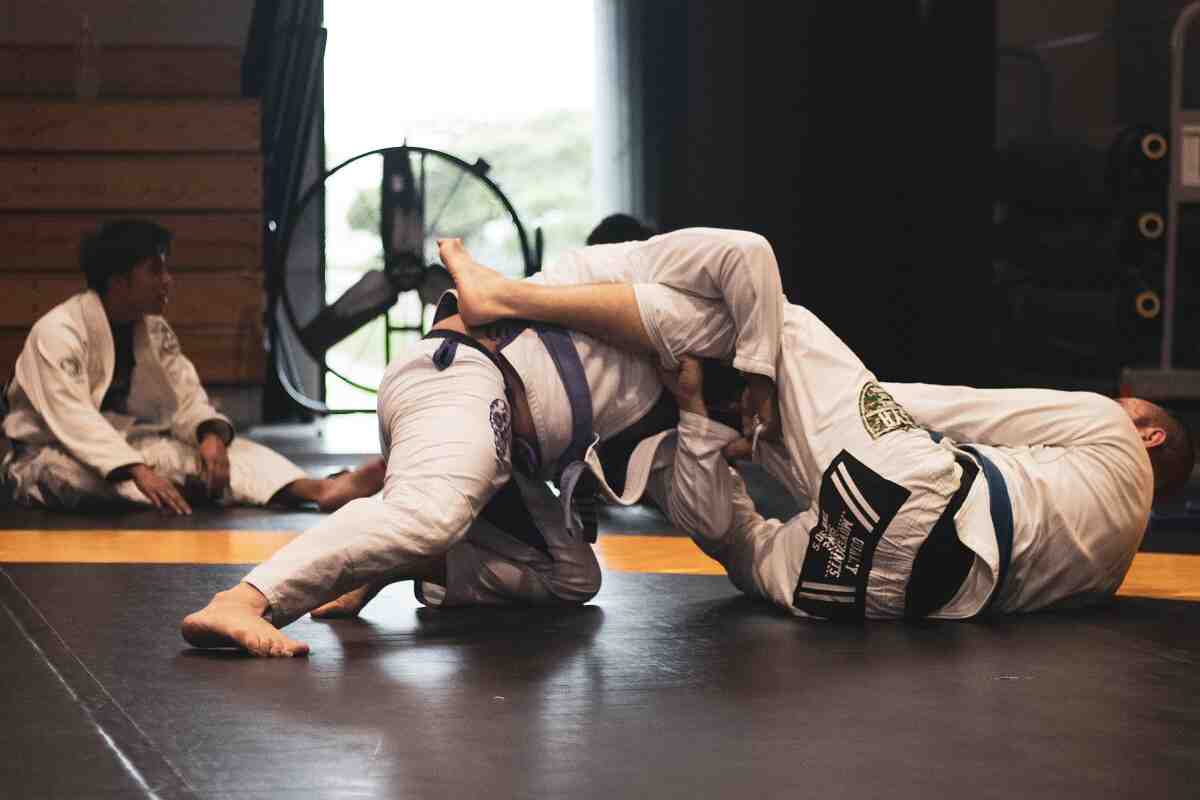 What are the seven most popular types of martial arts?
