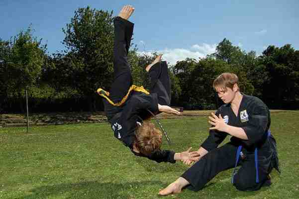 What is the least common martial art?