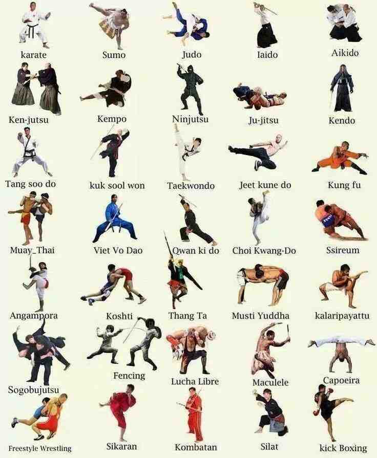 What is the most popular form of martial art?