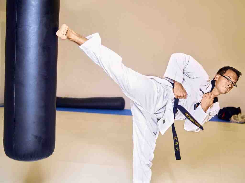 What is the number 1 martial arts?