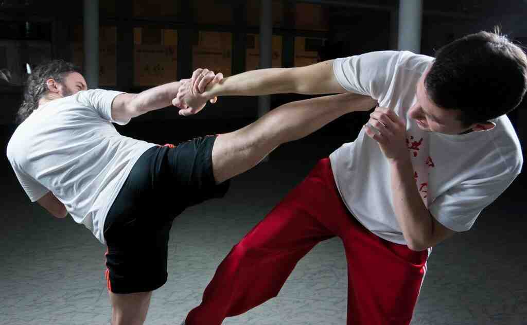 Which is better Krav Maga or karate?