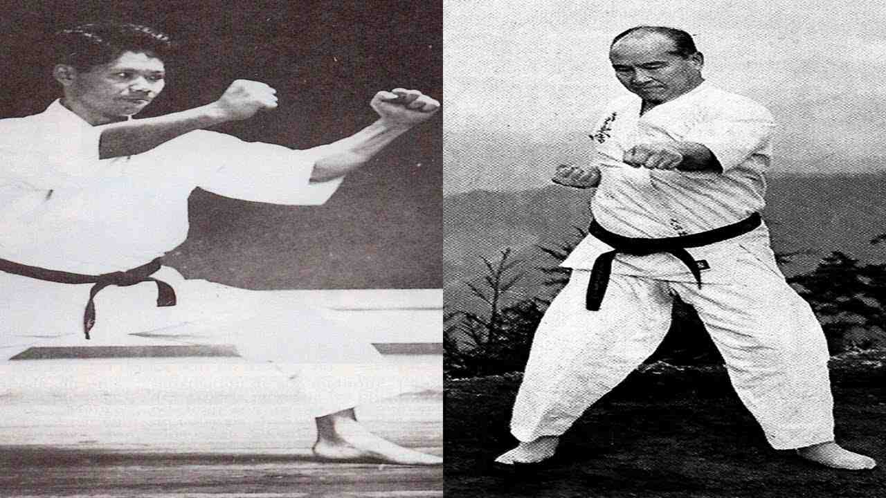 Which is better Kyokushin or Shotokan?