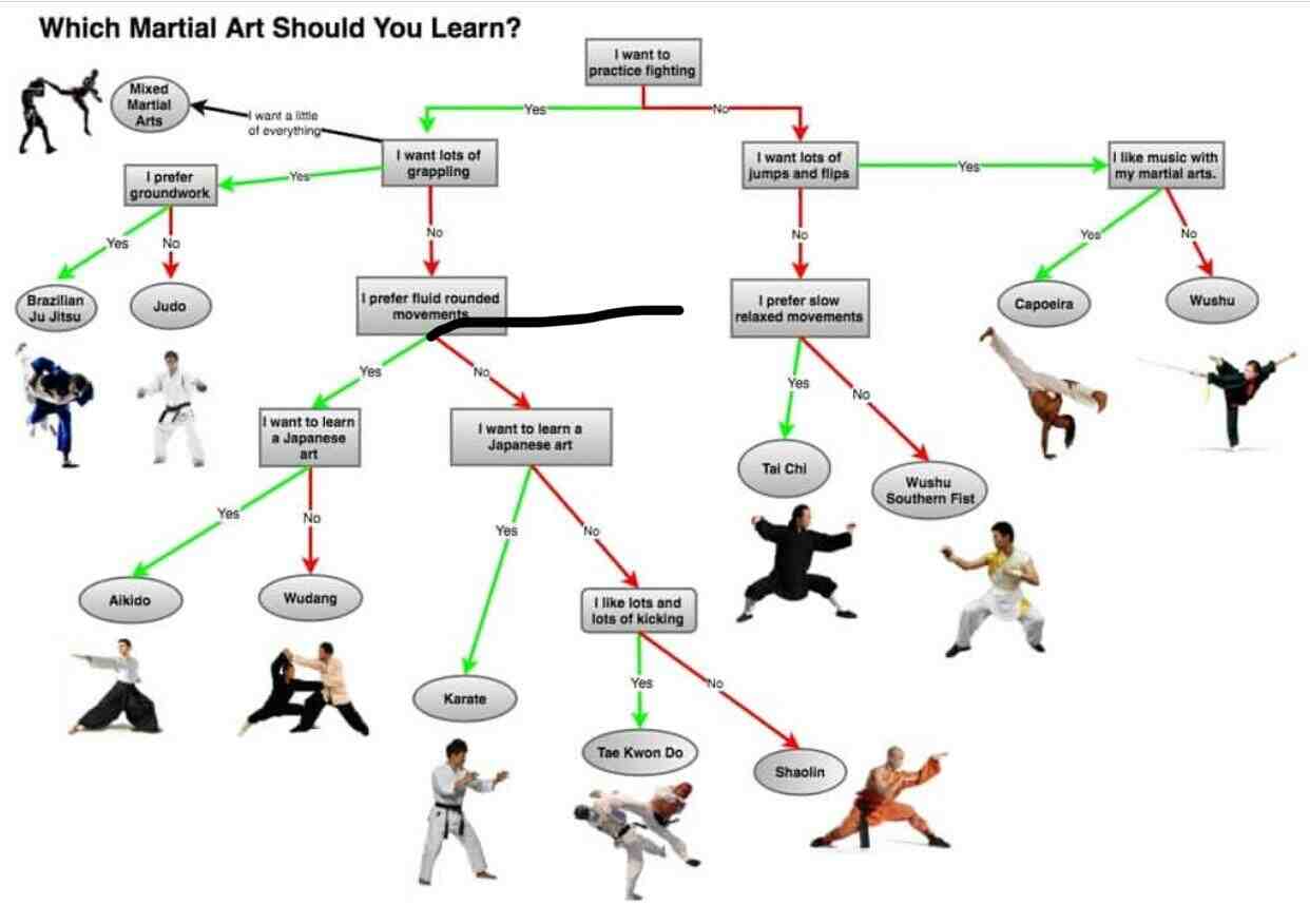 Which martial art should I learn?